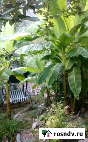 Дом 180 м² на участке 6 сот. на продажу в Туапсе Туапсе - изображение 1