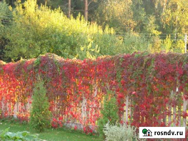 Участок СНТ, ДНП 13 сот. на продажу в Лесном Московской области Лесной - изображение 1