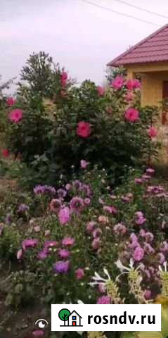 Дача 50 м² на участке 12 сот. на продажу в Астрахани Астрахань - изображение 1