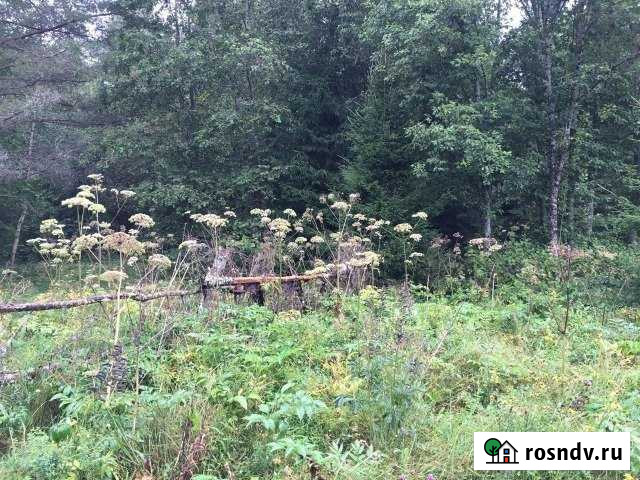 Участок ИЖС 15 сот. на продажу в Санкт-Петербурге Санкт-Петербург - изображение 1