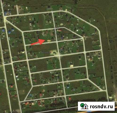 Участок СНТ, ДНП 7 сот. на продажу в Сосновом Бору Сосновый Бор - изображение 1