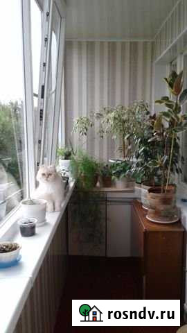 3-комнатная квартира, 70.6 м², 2/2 эт. на продажу в Можге Можга - изображение 1