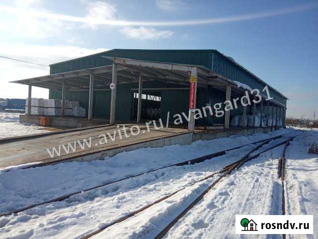 Складское помещение, 1000 кв.м. Белгород - изображение 1