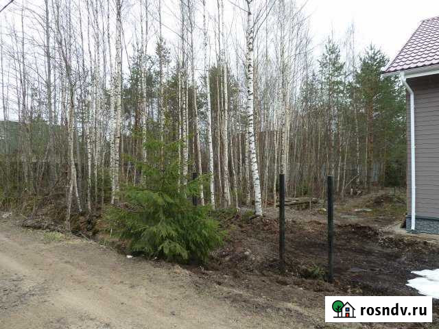 Участок СНТ, ДНП 9 сот. на продажу в Васкелово Васкелово - изображение 1