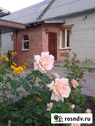 Дом 64 м² на участке 15 сот. в аренду посуточно в Северном Белгородской области Северный - изображение 1