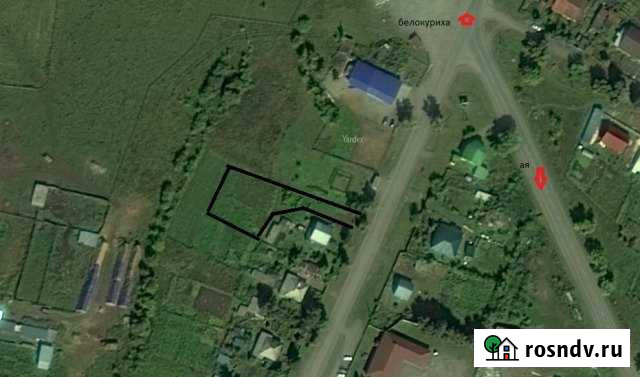 Участок ИЖС 20 сот. на продажу в Алтайском Алтайское - изображение 1