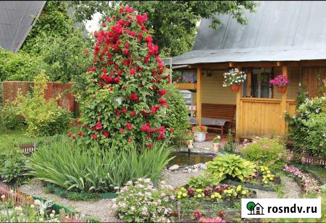 Дача 48 м² на участке 4 сот. на продажу в Чердаклах Чердаклы - изображение 1