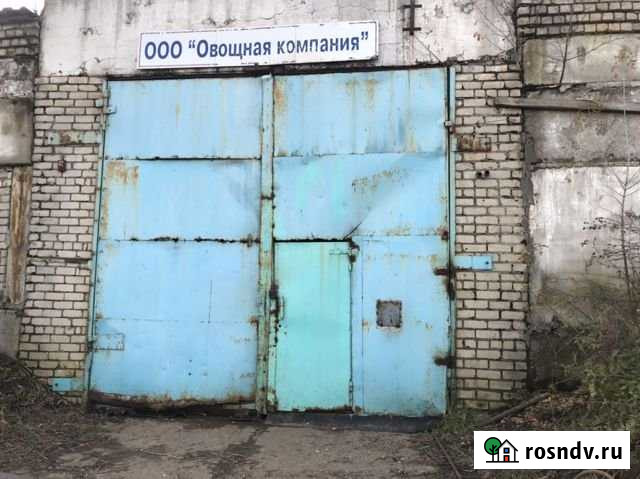 Овоще хранилище Буревестник - изображение 1