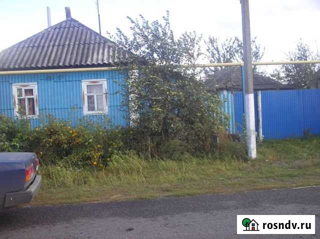 Дом 39.5 м² на участке 45 сот. на продажу в Ивне Ивня - изображение 1