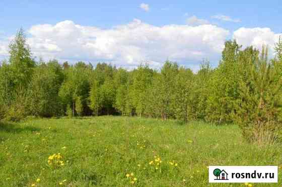 Участок СНТ, ДНП 571 сот. на продажу в Борисоглебском Борисоглебский