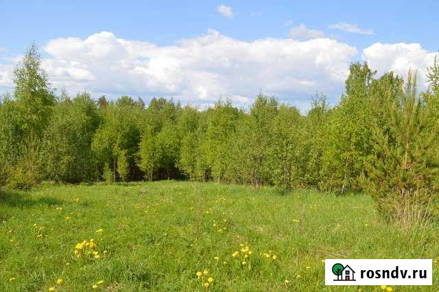 Участок СНТ, ДНП 571 сот. на продажу в Борисоглебском Борисоглебский - изображение 1