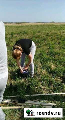 Участок СНТ, ДНП 6 сот. на продажу в Светлогорске Светлогорск - изображение 1