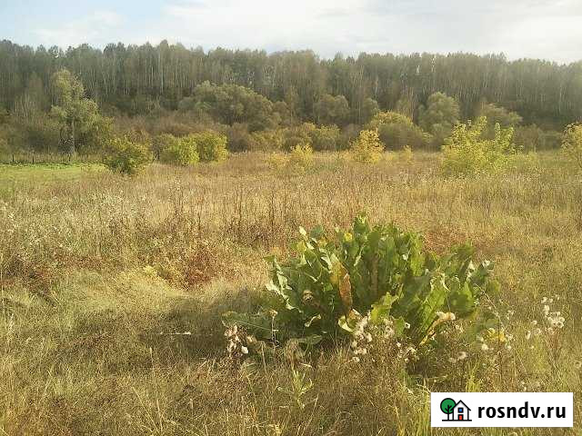 Участок ИЖС 45 сот. на продажу в Новоалтайске Новоалтайск - изображение 1