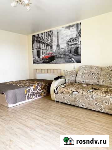 1-комнатная квартира, 44 м², 9/9 эт. в аренду посуточно в Благовещенске Амурской области Благовещенск - изображение 1