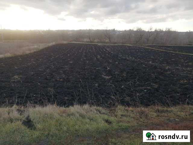 Участок ИЖС 50 сот. на продажу в Новосемейкино Новосемейкино - изображение 1