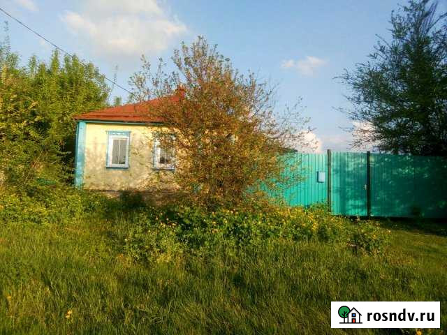 Дом 40 м² на участке 39 сот. на продажу в Засосне Засосна - изображение 1