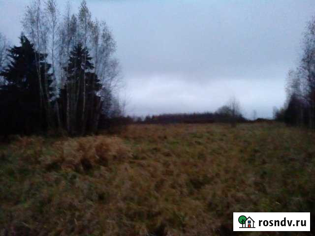 Участок ИЖС 315 сот. на продажу в Печорах Печоры - изображение 1