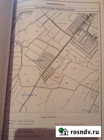 Участок СНТ, ДНП 330 сот. на продажу в Великом Новгороде Великий Новгород - изображение 1