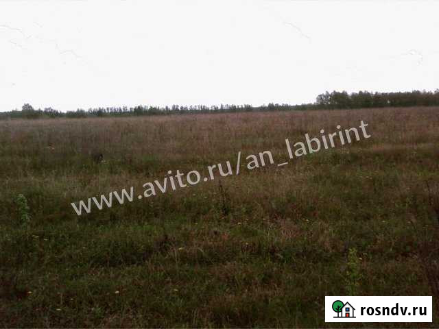 Участок СНТ, ДНП 2640 сот. на продажу в Белеве Белев - изображение 1