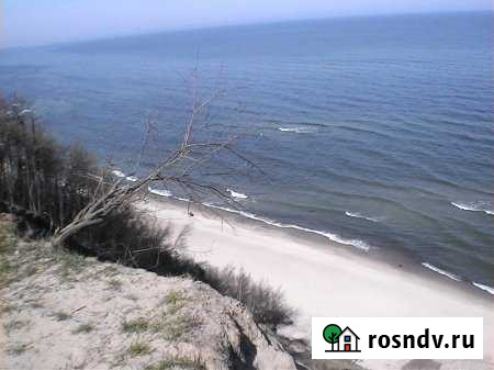 Участок СНТ, ДНП 6 сот. на продажу в Донском Калининградской области Донское - изображение 1