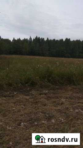 Участок ИЖС 30 сот. на продажу в Гостилицах Гостилицы - изображение 1