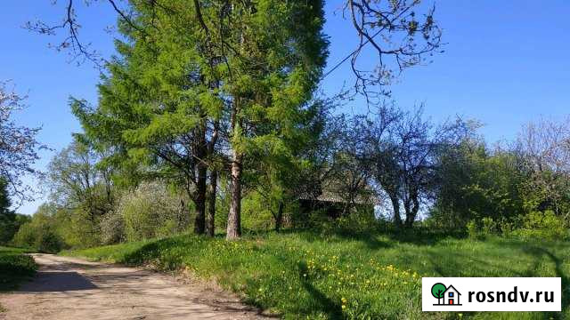 Участок ИЖС 12 сот. на продажу в Идрице Идрица - изображение 1