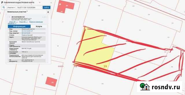 Участок ИЖС 24 сот. на продажу в Балтийске Балтийск - изображение 1
