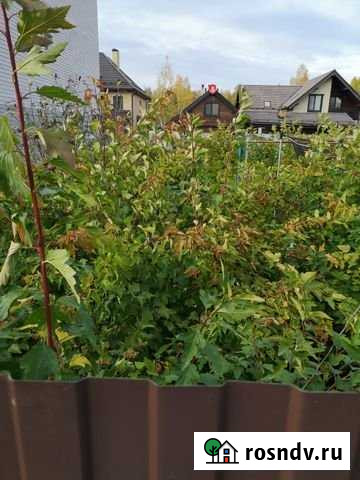 Участок ИЖС 10 сот. на продажу в Екатеринбурге Екатеринбург - изображение 1