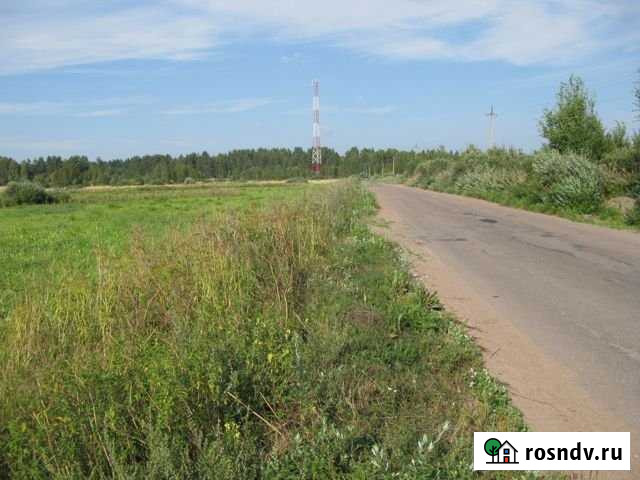 Участок СНТ, ДНП 200 сот. на продажу в Выборге Выборг - изображение 1