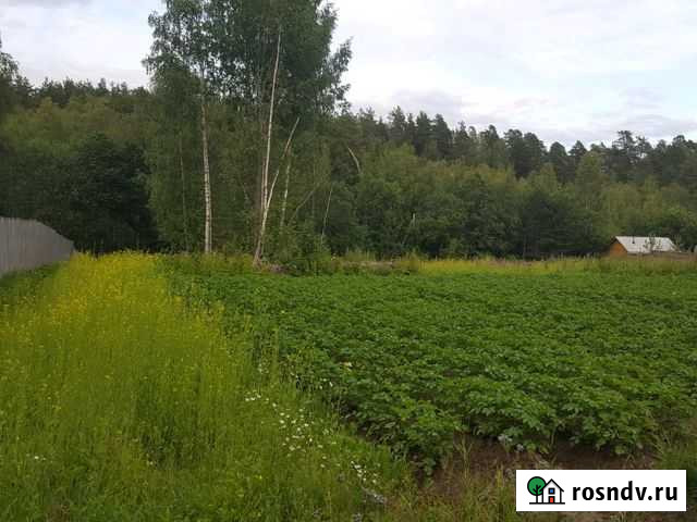 Участок ИЖС 12 сот. на продажу в Песочном Песочное - изображение 1