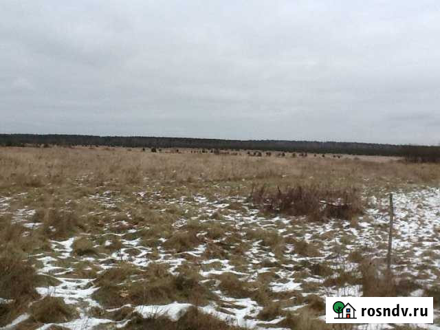 Участок ИЖС 90 сот. на продажу в Туме Тума - изображение 1