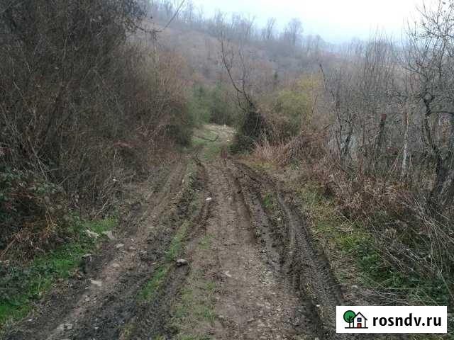 Участок СНТ, ДНП 5 сот. на продажу в Высоком Высокое - изображение 1