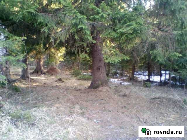 Дача 100 м² на участке 13 сот. на продажу в Лесколово Лесколово - изображение 1