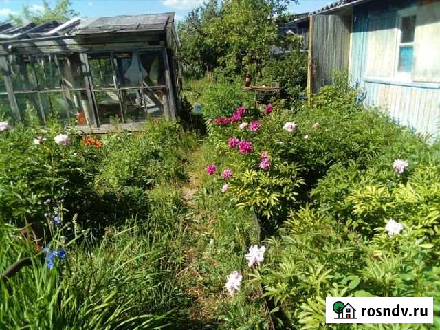 Дача 25 м² на участке 6 сот. на продажу в Йошкар-Оле Йошкар-Ола - изображение 1