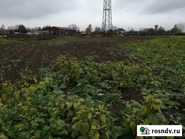 Земля под производство Гатчина - изображение 1
