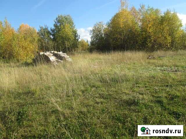 Участок ИЖС 16 сот. на продажу в Усть-Куломе Усть-Кулом - изображение 1