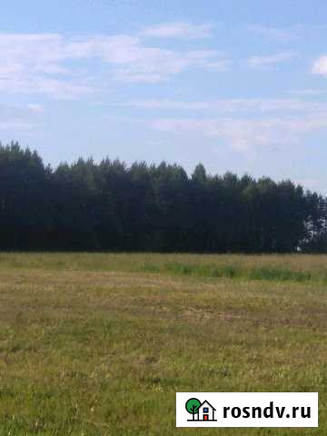 Участок СНТ, ДНП 135000 сот. на продажу в Лаишево Лаишево - изображение 1