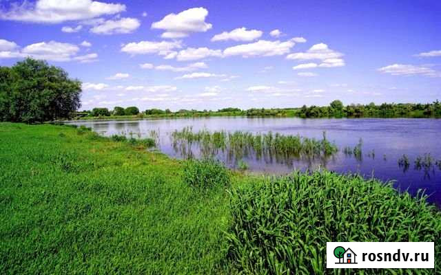 Участок ИЖС 370 сот. на продажу в Вязниках Вязники - изображение 1