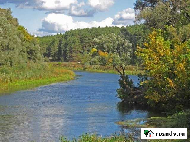 Участок ИЖС 20 сот. на продажу в Борисоглебске Борисоглебск - изображение 1