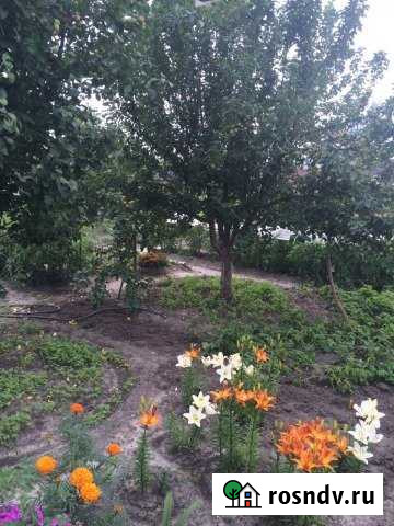 Дача 38 м² на участке 9 сот. на продажу в Кургане Курган - изображение 1