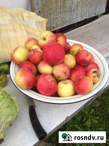 Дача 25 м² на участке 4 сот. на продажу в Белоярском Свердловской области Белоярский - изображение 1