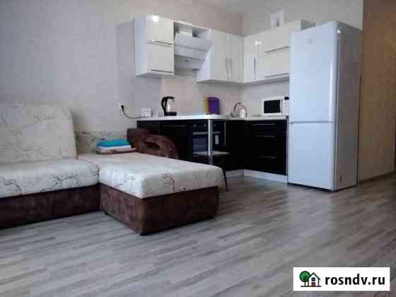 Квартира-студия, 43 м², 6/17 эт. в аренду посуточно в Челябинске Челябинск