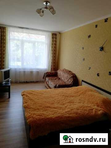 1-комнатная квартира, 43 м², 7/17 эт. в аренду посуточно в Белгороде Белгород - изображение 1