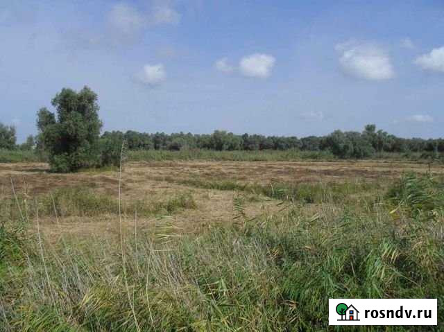 Дом 40 м² на участке 50 сот. на продажу в Стрелке Стрелка - изображение 1