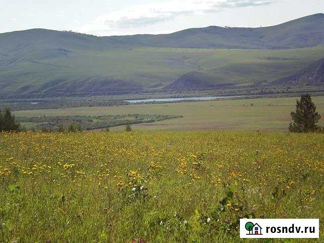 Участок СНТ, ДНП 1000 сот. на продажу в Чите Чита - изображение 1