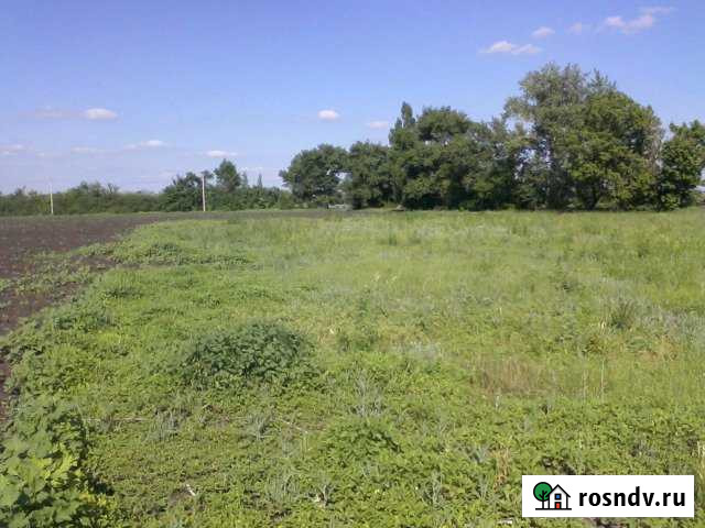 Участок ИЖС 15 сот. на продажу в Павловске Воронежской области Павловск - изображение 1