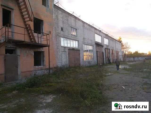 Административное здание Белые Берега - изображение 1