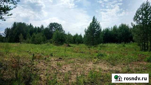 Участок ИЖС 50 сот. на продажу в Новом Республики Удмуртия Новый - изображение 1