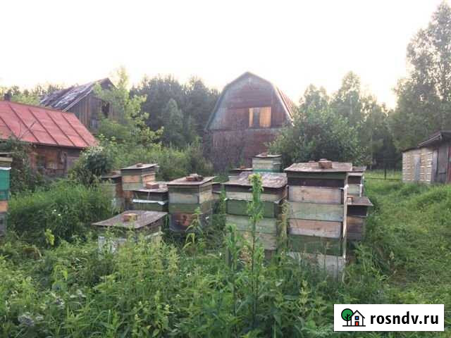 Дача 25 м² на участке 12.9 сот. на продажу в Косихе Косиха - изображение 1