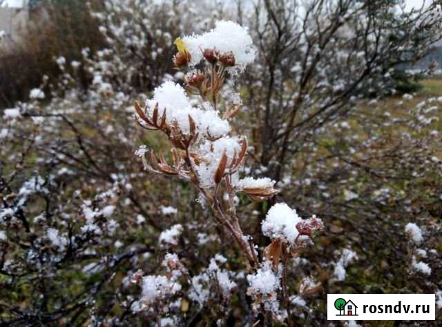 Участок СНТ, ДНП 10 сот. на продажу в Емельяново Емельяново - изображение 1